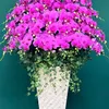user854081805