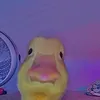 2_rxk