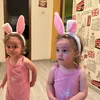 cristeaalex1