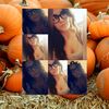 darkkiss72