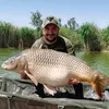 cosminolteanu2