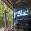 urlocal_eleanor
