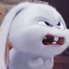 zoramoraaa