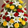 dy409wqy671d