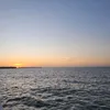 eusouolii