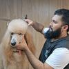 doggrooming15