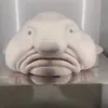 veeraburoosbarb