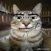 beingalarper