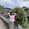 dipsagurung1