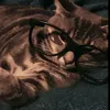 loonymey