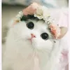 alya_smiley