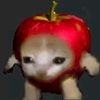 appie.cat