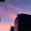 r_zoda