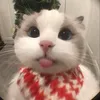 _hlongxawm_