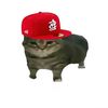 ripp_store1