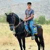 tamanchomany