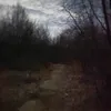 demon23410