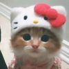 imeyy_40