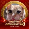 quynh_chi_23115