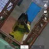 ishang559