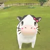 hynchu6