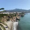 liv_zwll