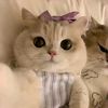 princes_elsaa4