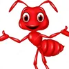 _red.ant_