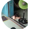 thanh65778