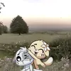 _dashka_678