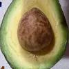 🥑🥑🥑🥑
