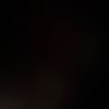 borges_collad