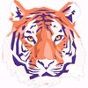 mr_clemson