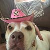 missdaisy82