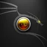 satinsingh299