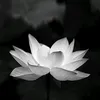 nguyenthithichhieu