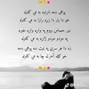 afghan33648