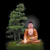 lesonlam_01368