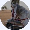 abdulla_920