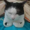 mikitew8