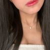 briss_mly