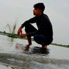 mdtanbir567