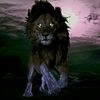 user673198932