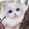 moonnoor90