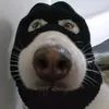 lionhearted70