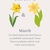 aries3.27