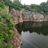 nhutdan1