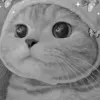 suza_na12