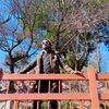 writer___wasi