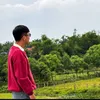 chutuanhai62la